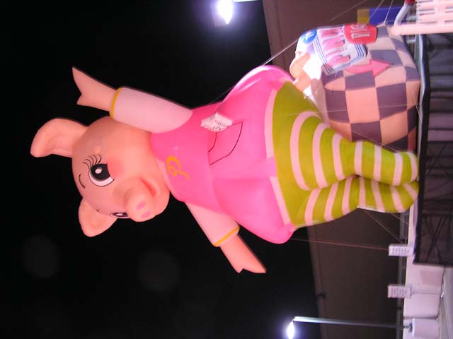 P1010129.jpg - 46037 Bytes