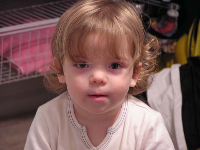 P1010141.jpg - 47137 Bytes