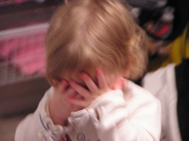 P1010142.jpg - 39188 Bytes