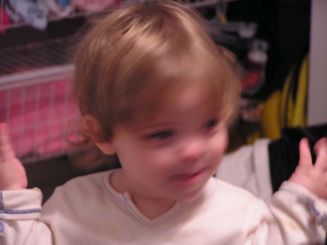 P1010143.jpg - 39245 Bytes