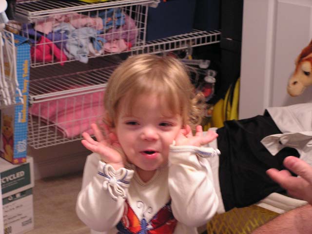 P1010144.jpg - 57220 Bytes