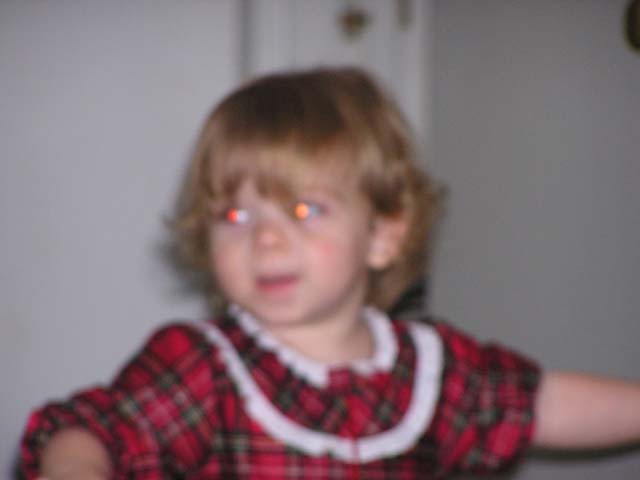 P1010150.jpg - 33384 Bytes