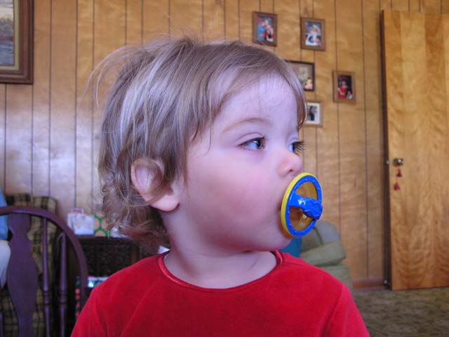 P1010157.jpg - 52183 Bytes