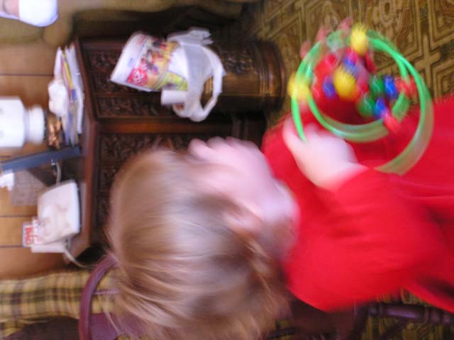 P1010159.jpg - 49697 Bytes