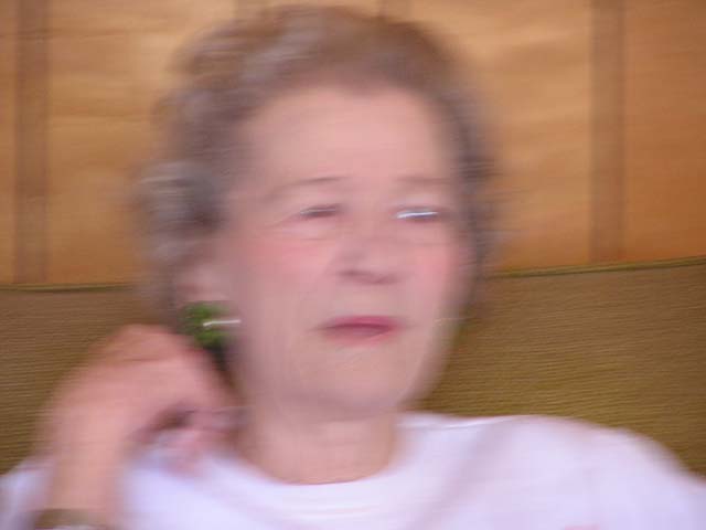 P1010160.jpg - 33476 Bytes