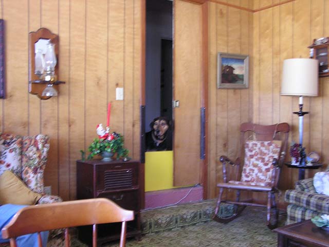 P1010166.jpg - 58681 Bytes